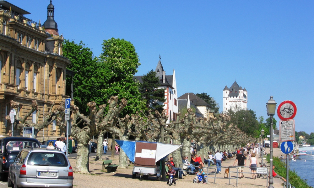 65343 Eltville Informationen, Sehenswürdigkeiten und Leben in der Rheingauer Stadt