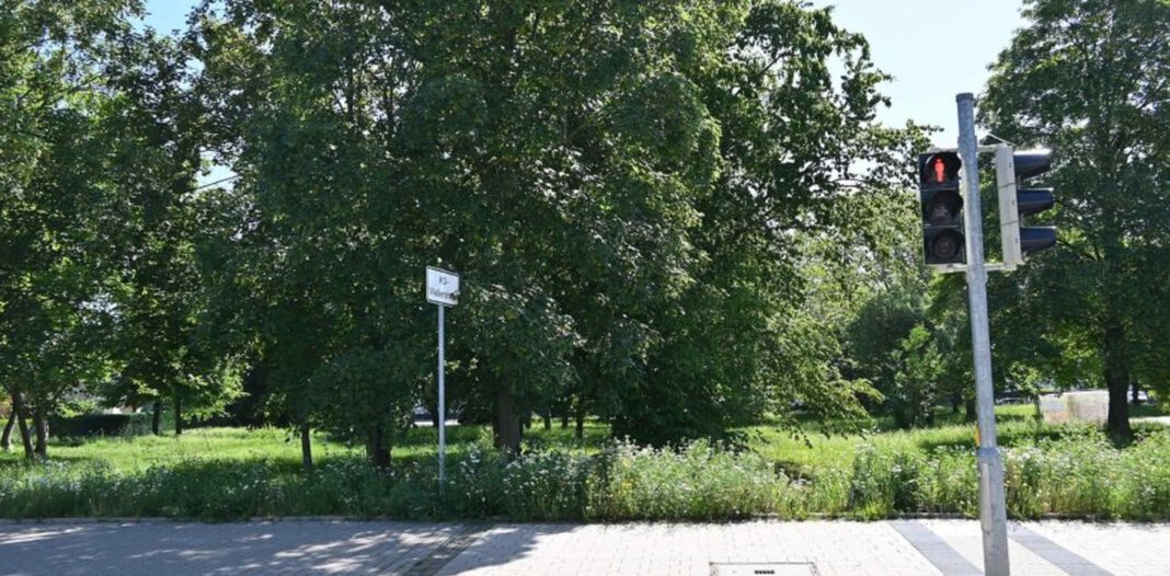 Grünzug zwischen Wallersheimer Weg und Rhein: Erste Bauphase wird konkret Grünzug zwischen Wallersheimer Weg und Rhein: Erste Bauphase wird konkret