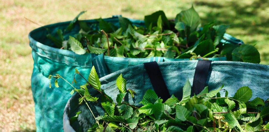 Koblenz 2026: Regeln für die Grünschnittabfuhr und die Termine im Überblick