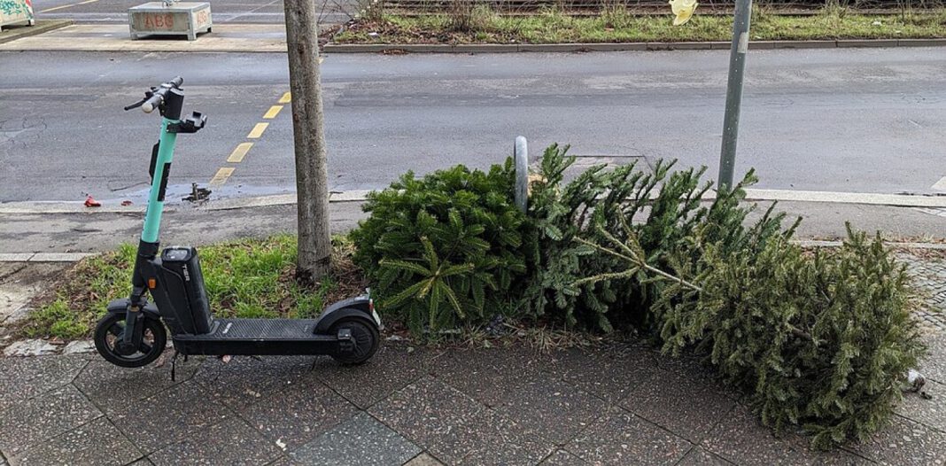 Koblenz sammelt Anfang des Jahres rund 25.000 Weihnachtsbäume ein und verwandelt sie in Kompost