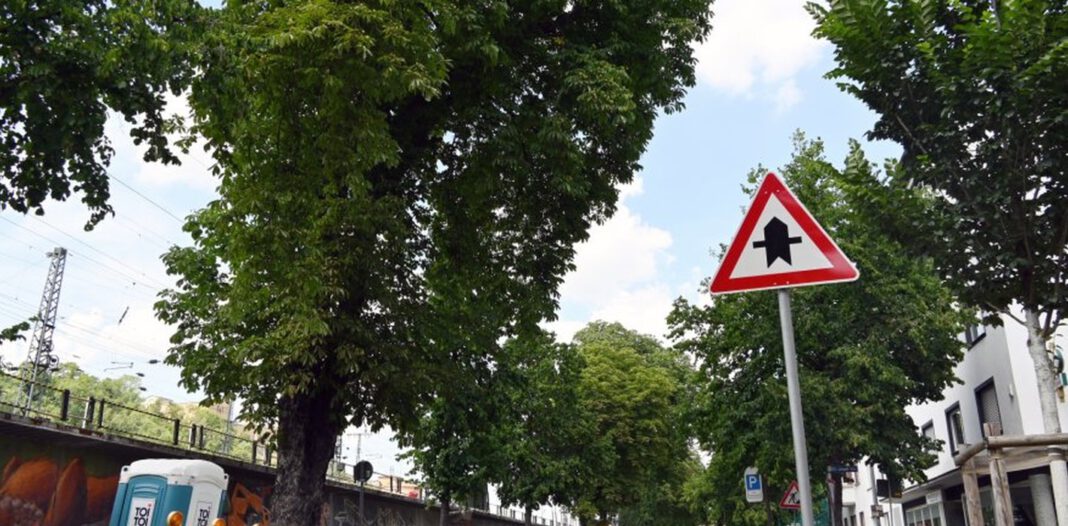 Rosskastanie an Koblenzer Bahnstrecke wird aus Sicherheitsgründen gefällt
