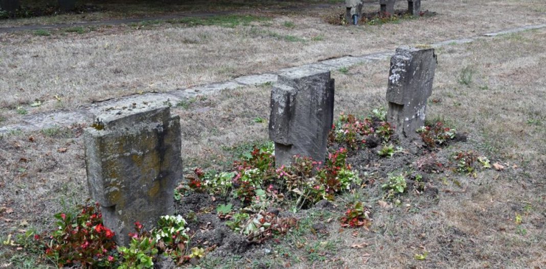 Wildschweine richten auf Koblenzer Hauptfriedhof erhebliche Schäden an, Behörden suchen Gegenstrategien Wildschweine richten auf Koblenzer Hauptfriedhof erhebliche Schäden an, Behörden suchen Gegenstrategien